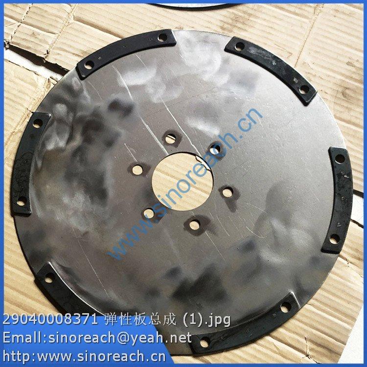 29040008371 弹性板总成 (1)