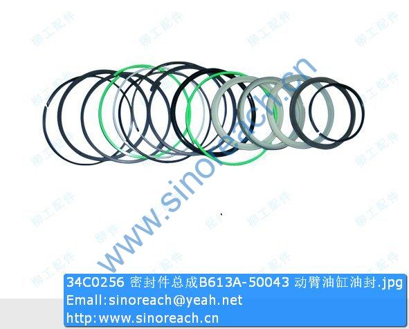 34C0256 密封件总成B613A-50043 动臂油缸油封