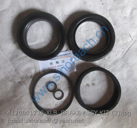 4120001739-XLB BRAKE ASSY KIT (3)