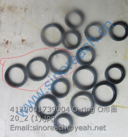 4120001739004 O-ring O形圈 20_2 (1)