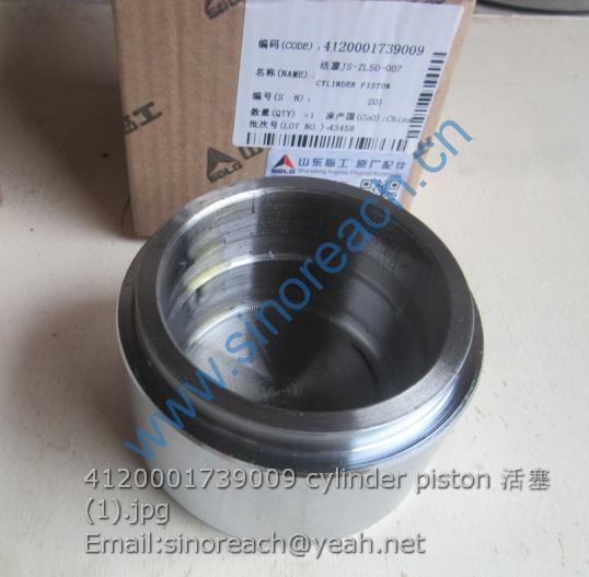4120001739009 cylinder piston 活塞 (1)