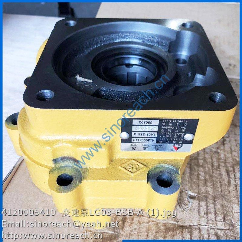 4120005410 变速泵LG03-BSB-A (1)
