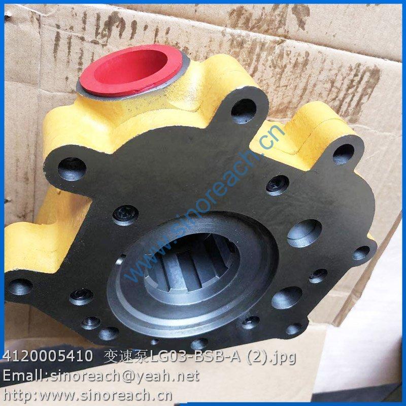 4120005410 变速泵LG03-BSB-A (2)