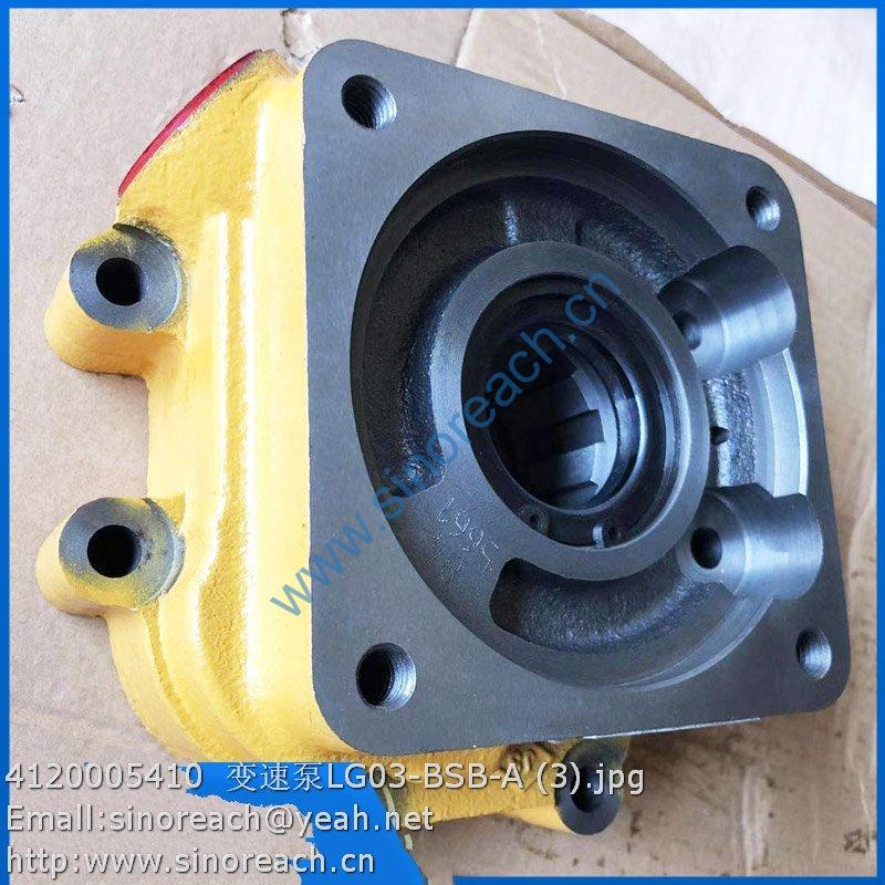 4120005410 变速泵LG03-BSB-A (3)