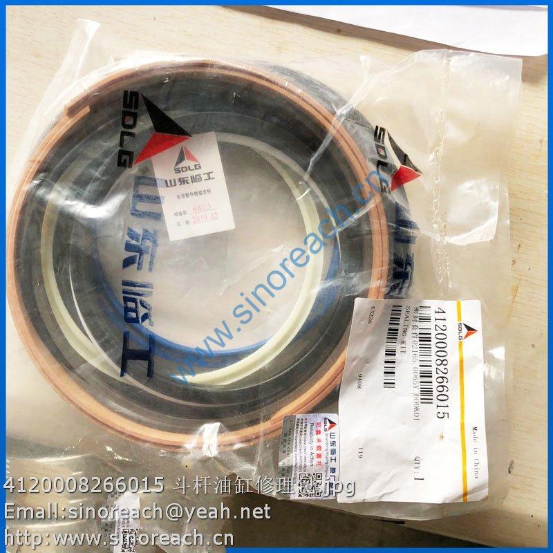 4120008266015 斗杆油缸修理包