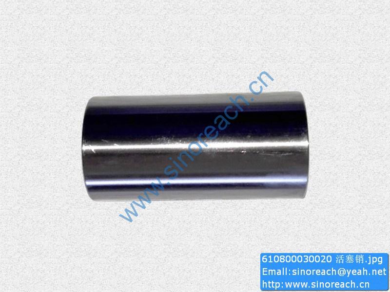 610800030020 活塞销