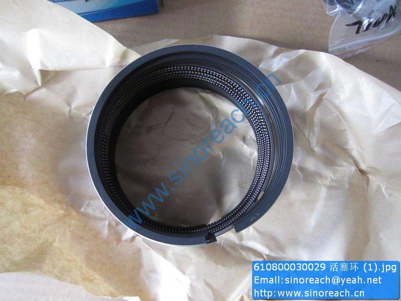 610800030029 活塞环 (1)