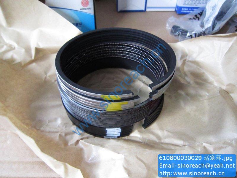 610800030029 活塞环