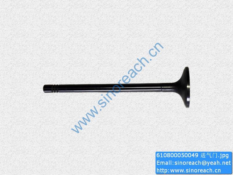 610800050049 进气门