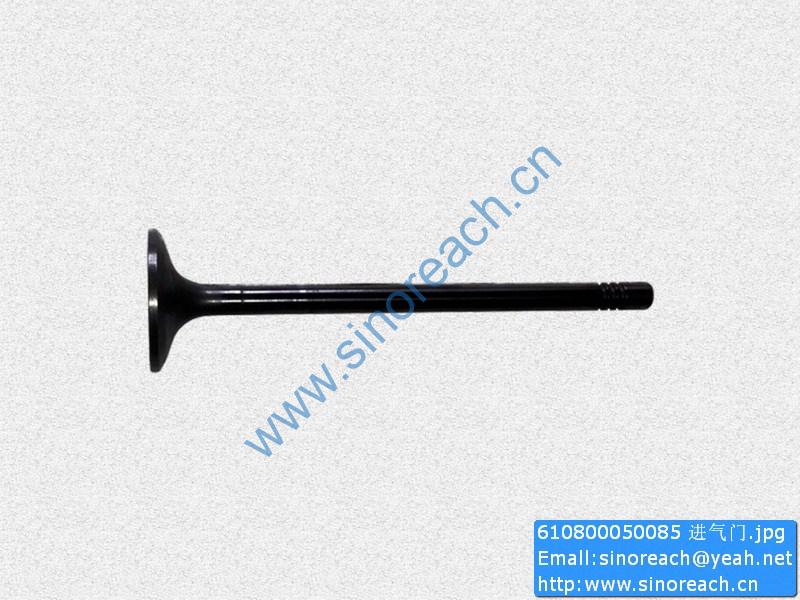 610800050085 进气门