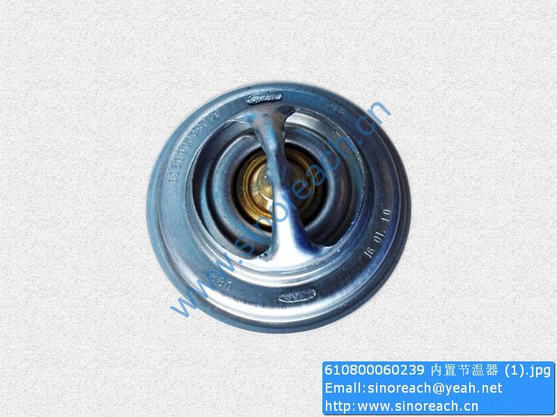 610800060239 内置节温器 (1)