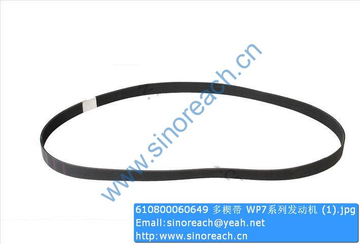610800060649 多楔带 WP7系列发动机 (1)