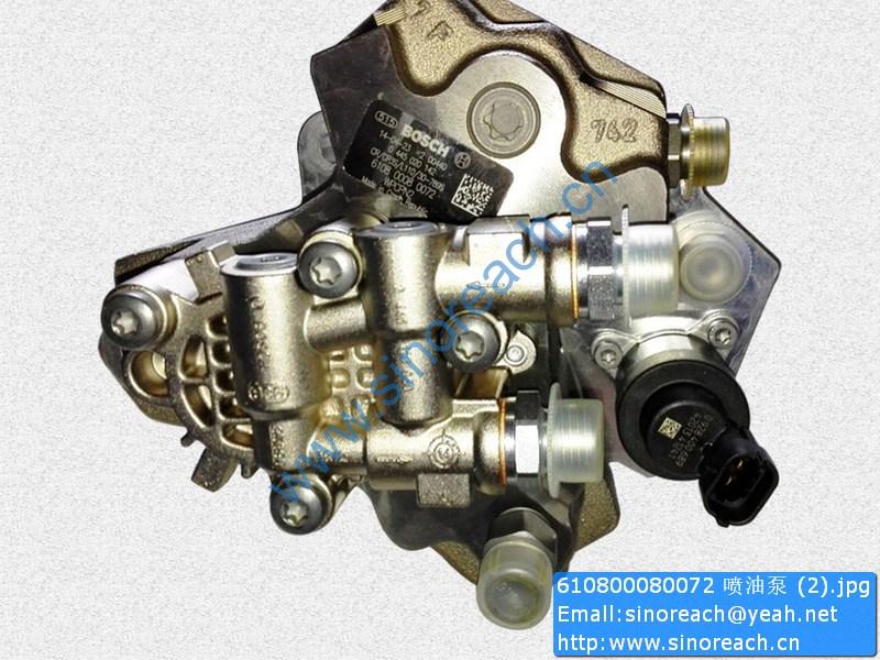 610800080072 喷油泵 (2)