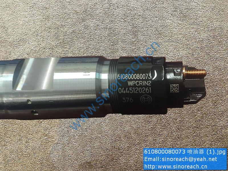 610800080073 喷油器 (1)