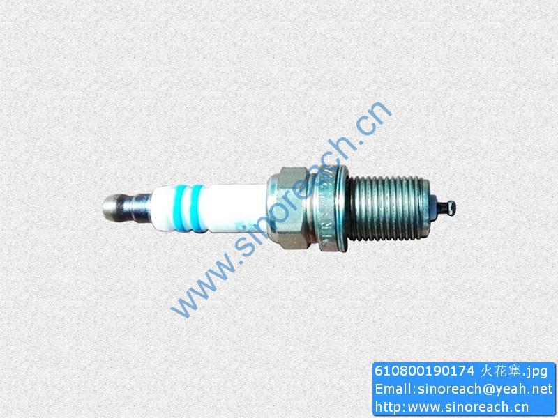 610800190174 火花塞