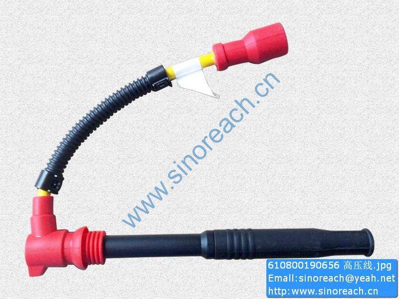 610800190656 高压线