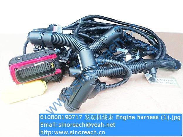 610800190717 发动机线束 Engine harness (1)
