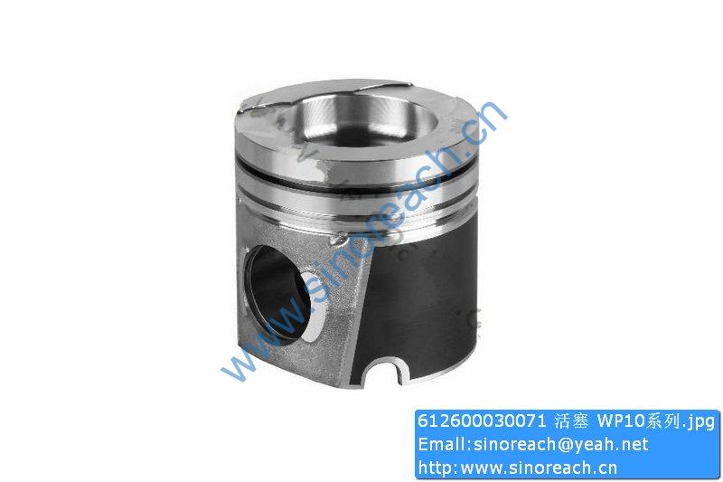 612600030071 活塞 WP10系列