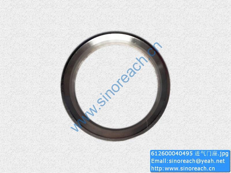 612600040495 进气门座