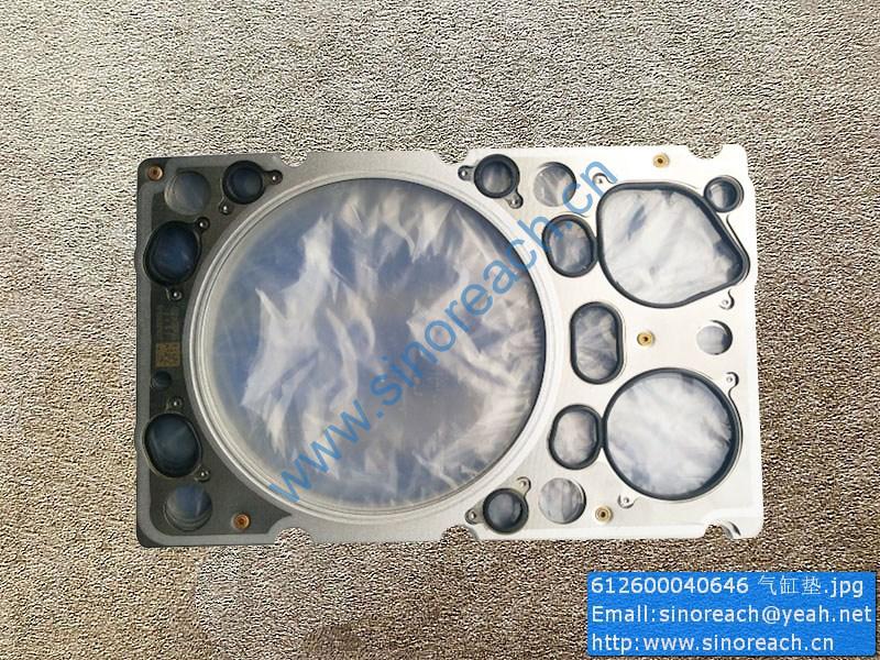 612600040646 气缸垫