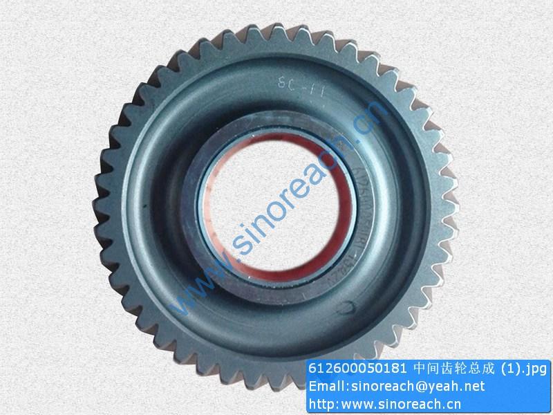 612600050181 中间齿轮总成 (1)