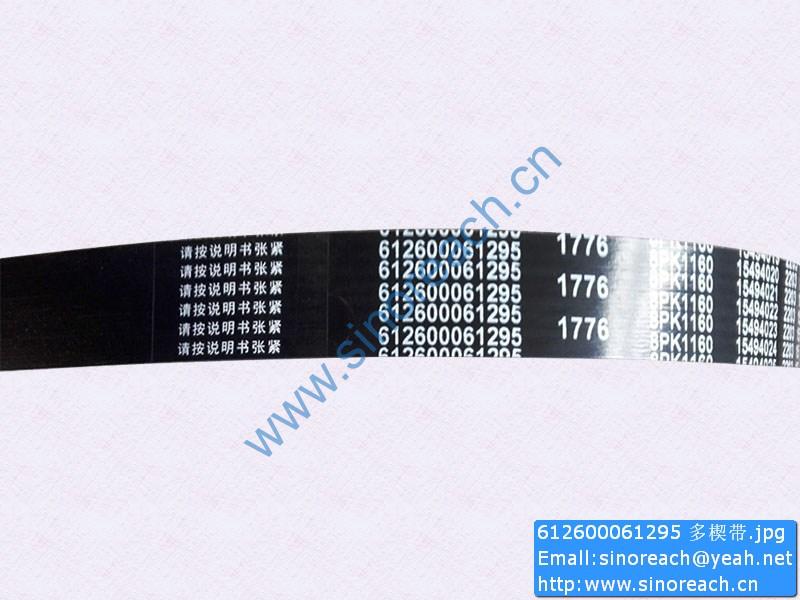 612600061295 多楔带