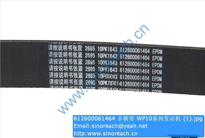 612600061464 多楔带 WP10系列发动机 (1)