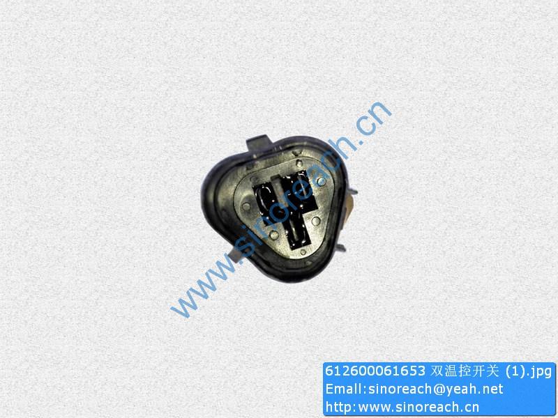 612600061653 双温控开关 (1)