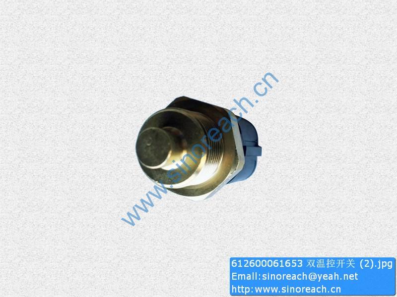 612600061653 双温控开关 (2)