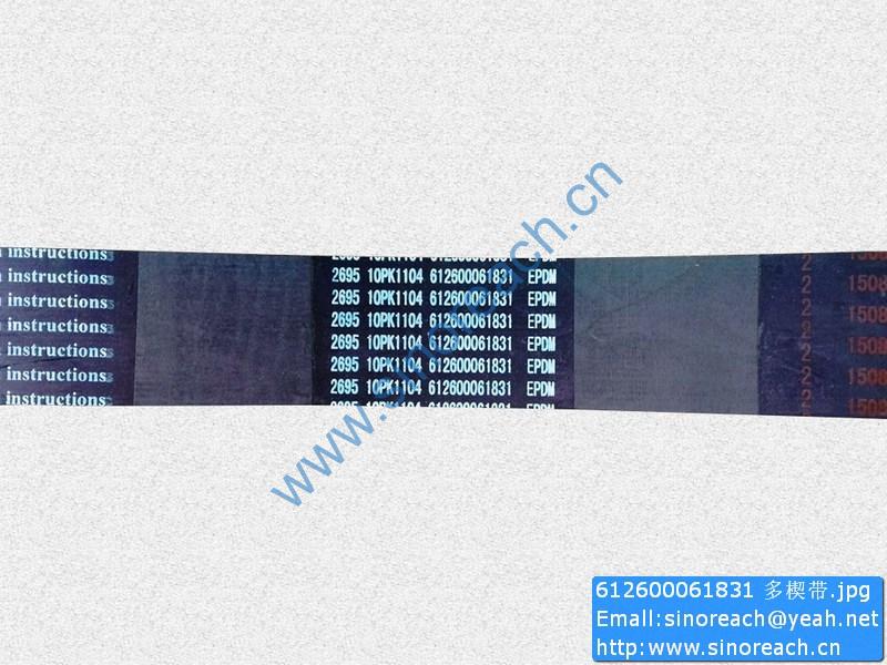 612600061831 多楔带