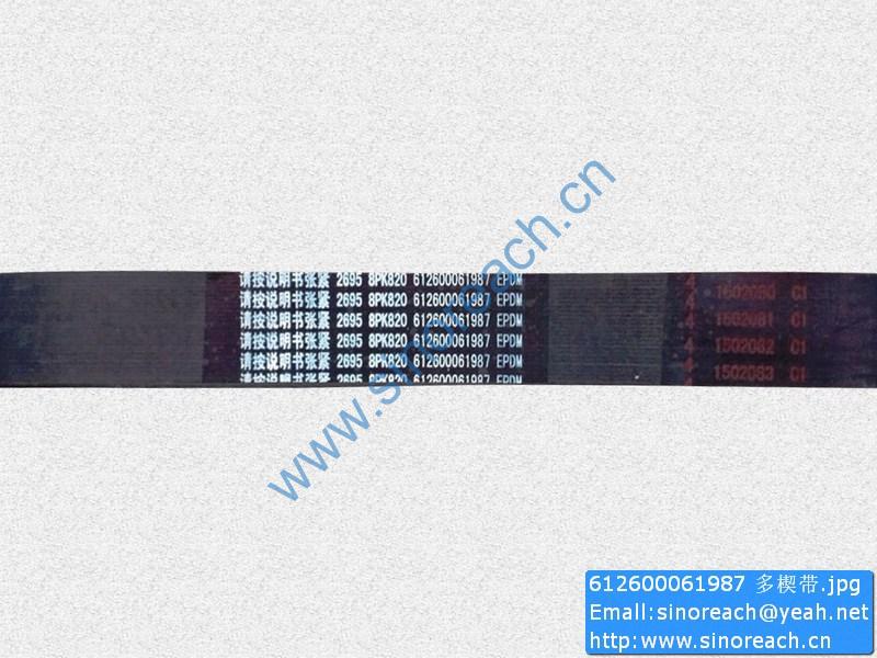 612600061987 多楔带