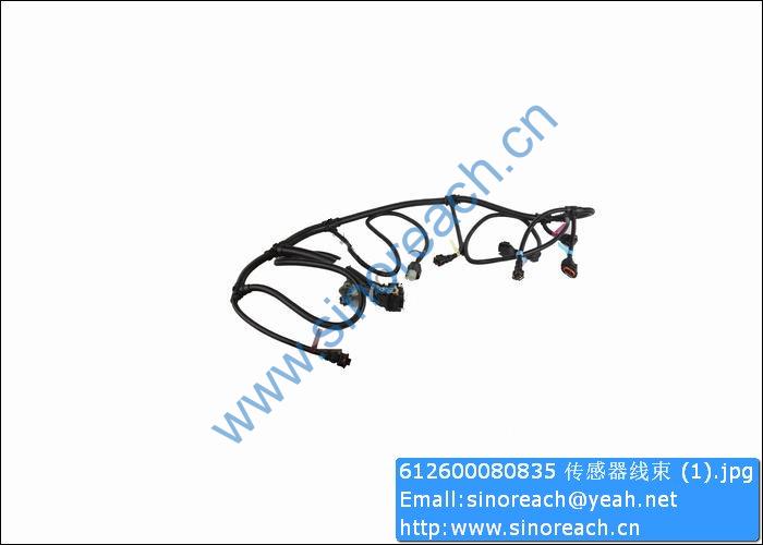 612600080835 传感器线束 (1)