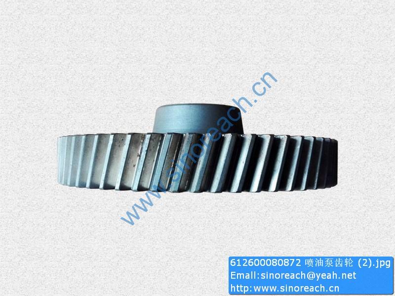 612600080872 喷油泵齿轮 (2)