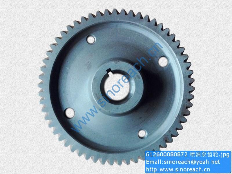 612600080872 喷油泵齿轮