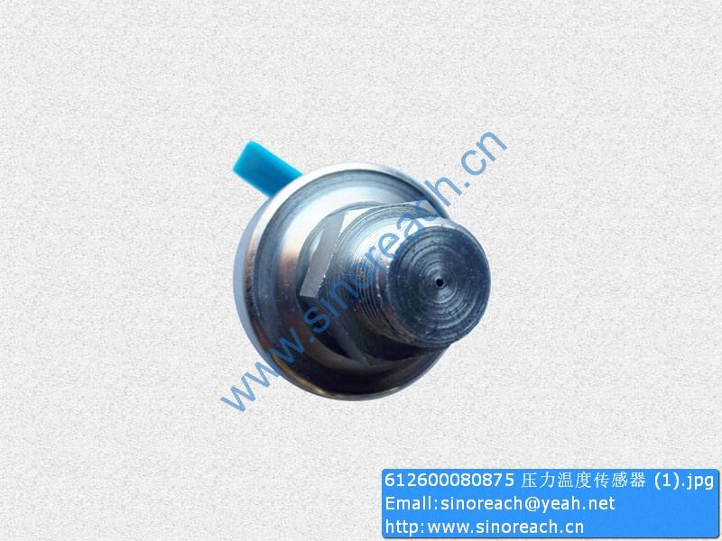 612600080875 压力温度传感器 (1)