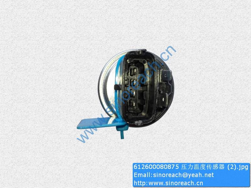 612600080875 压力温度传感器 (2)