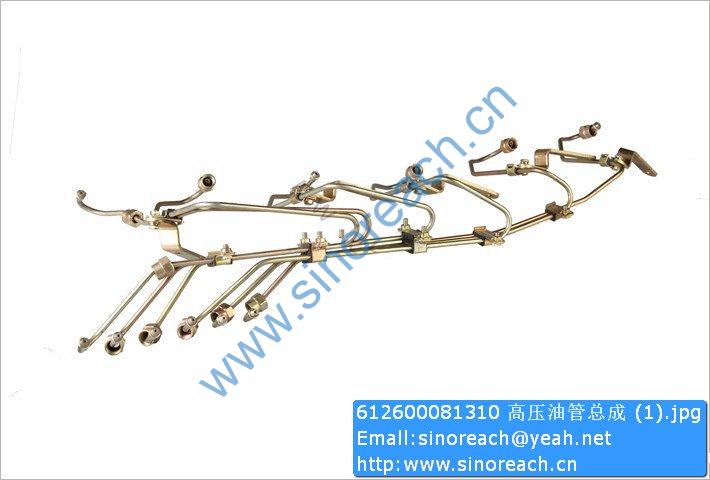 612600081310 高压油管总成 (1)
