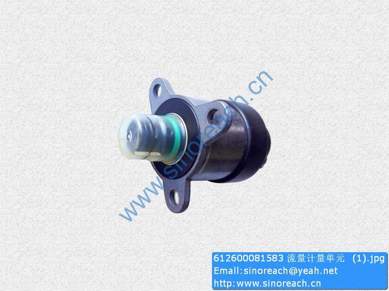 612600081583 流量计量单元 (1)