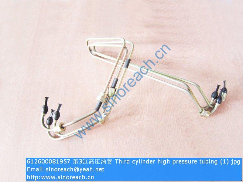 612600081957 第3缸高压油管 Third cylinder high pressure tubing (1)