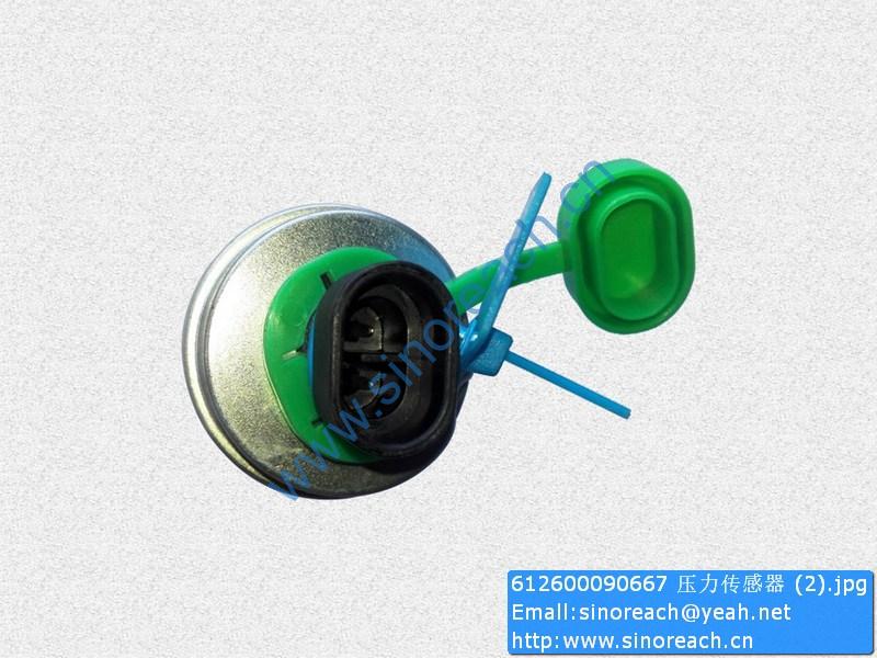 612600090667 压力传感器 (2)