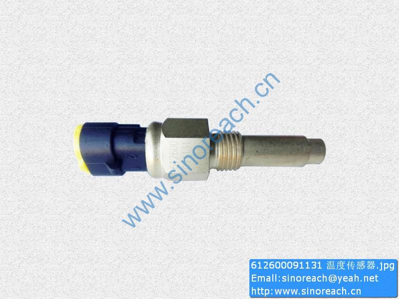 612600091131 温度传感器