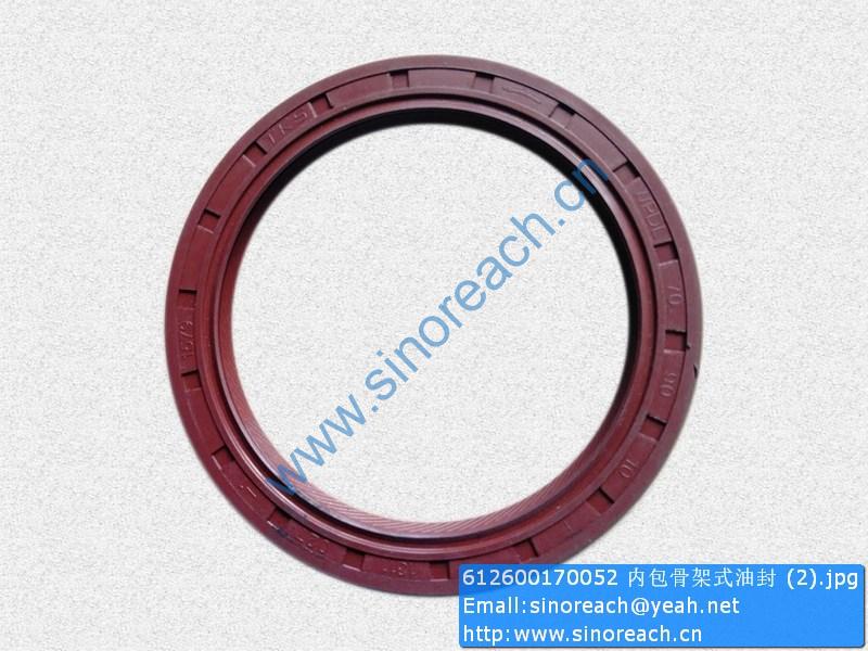 612600170052 内包骨架式油封 (2)