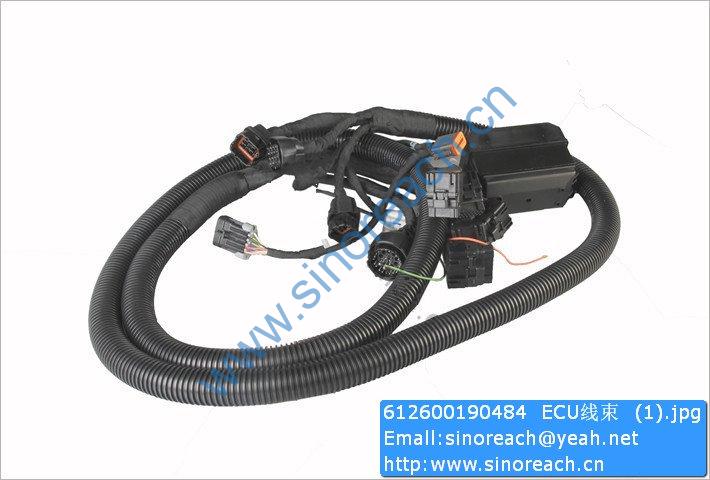 612600190484 ECU线束 (1)