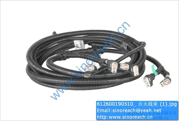 612600190510_ 点火线束 (1)