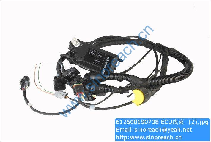 612600190738 ECU线束 (2)