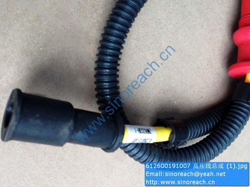 612600191007 高压线总成 (1)