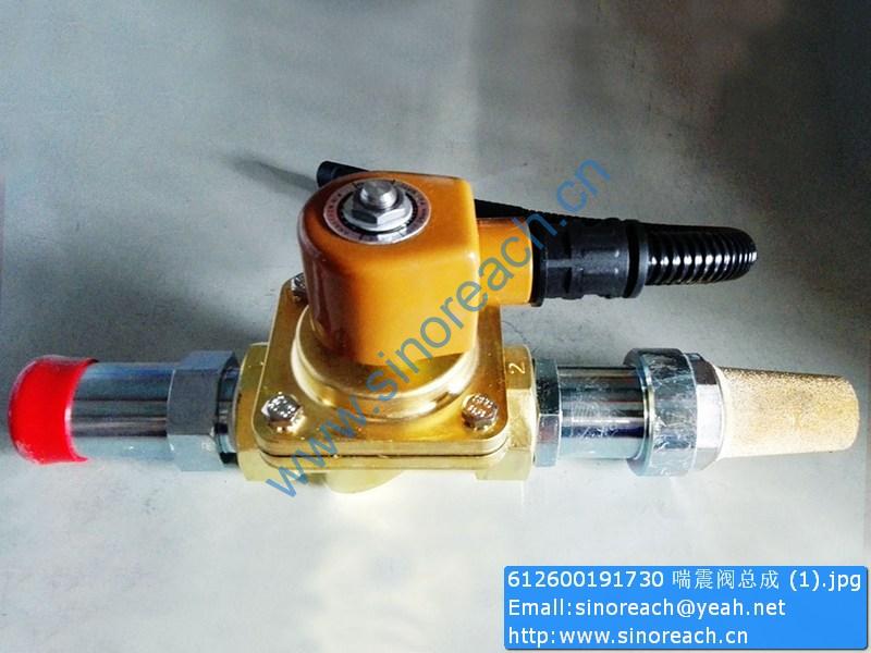 612600191730 喘震阀总成 (1)