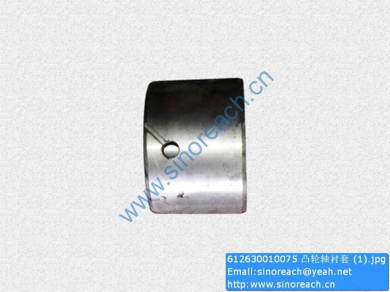 612630010075 凸轮轴衬套 (1)