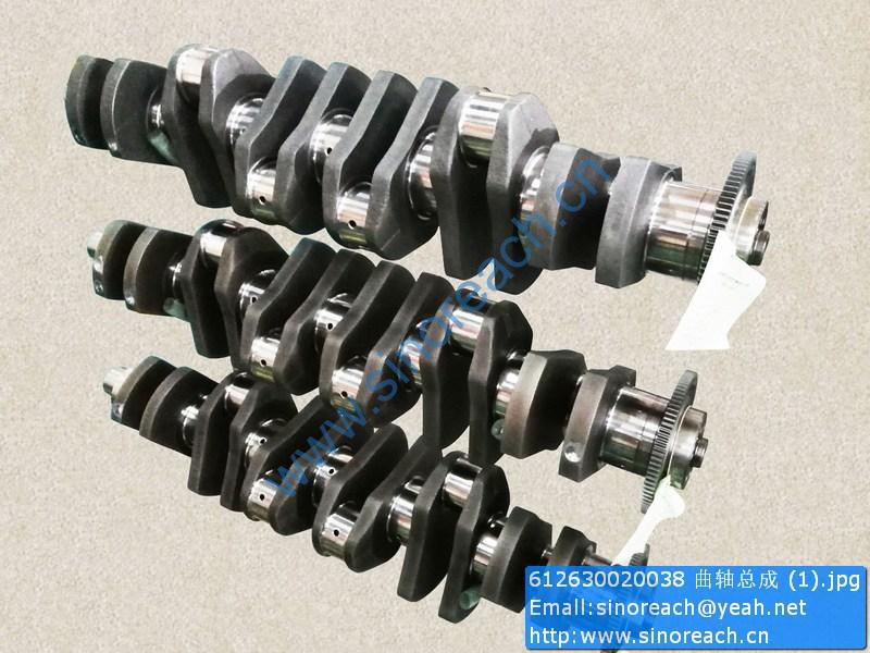 612630020038 曲轴总成 (1)