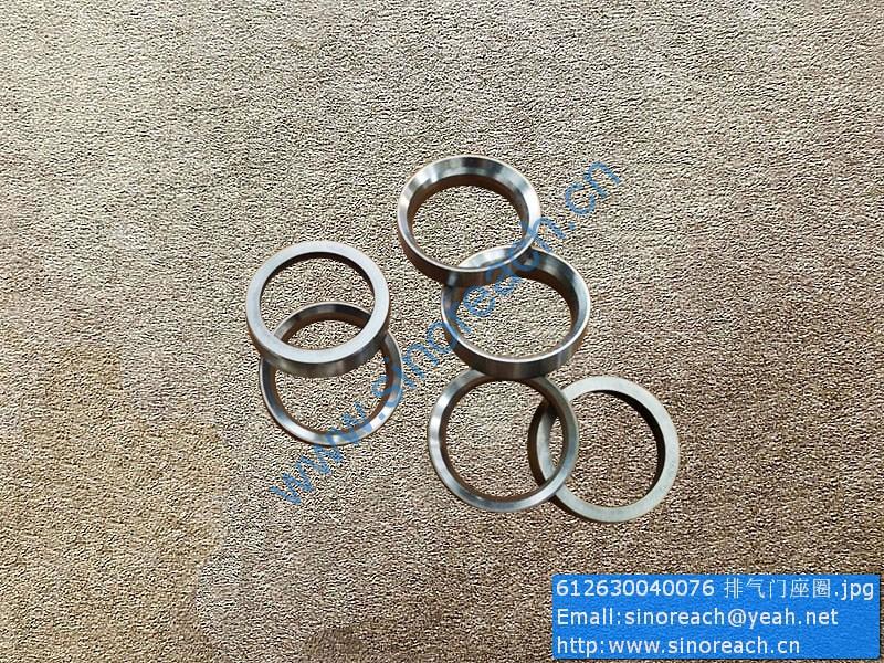 612630040076 排气门座圈